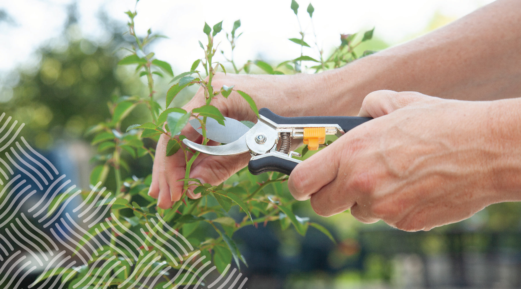 Spring Planting Guide: Essential Tips and Techniques for a Flourishing Garden