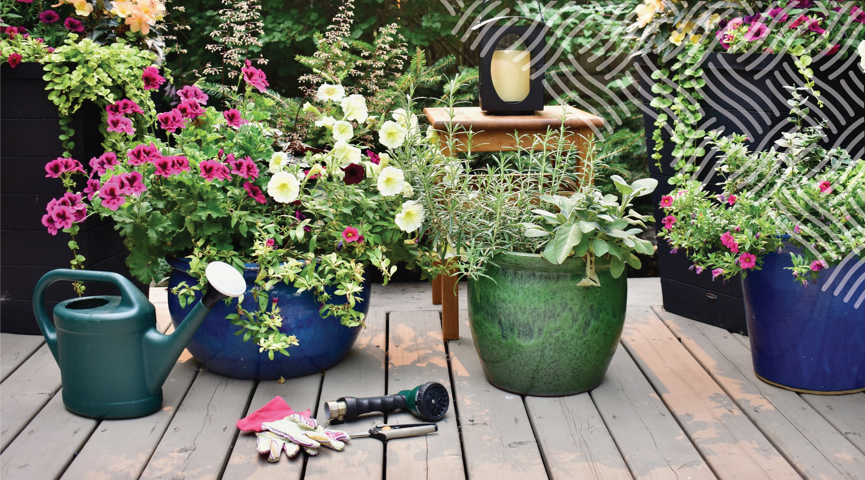 From Indoor Oasis to Outdoor Bliss: Potted Plants Perfect for Any Environment